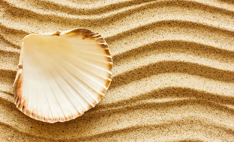 Fête de la coquille St-Jacques à Villers sur Mer