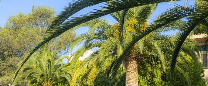logement CERS à St Raphael, hébergement CREPS à St Raphaël
